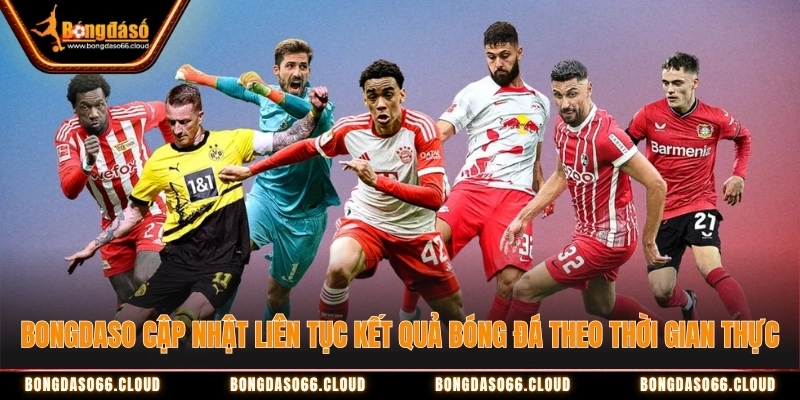 Bongdaso cập nhật liên tục kết quả bóng đá Đức