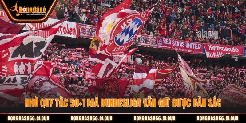 quy tắc 50+1 Bundesliga