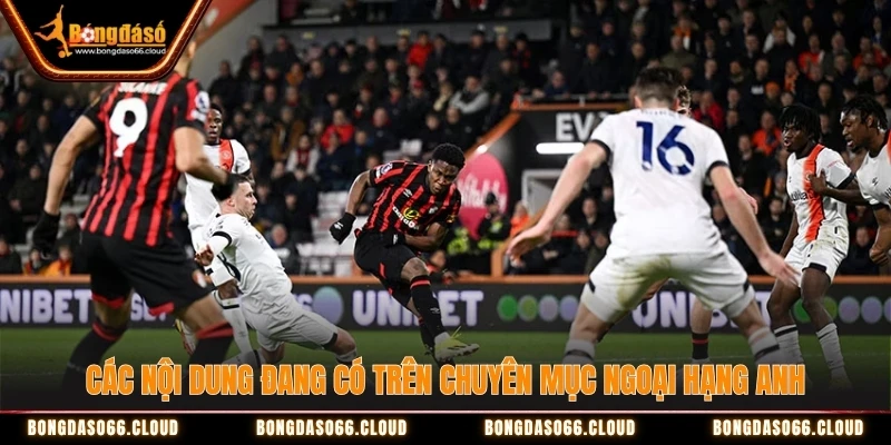 Các nội dung đang có trên chuyên mục Ngoại hạng Anh