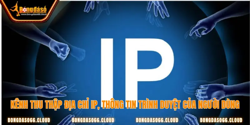 Bongdaso thu thập thông tin IP của người chơi