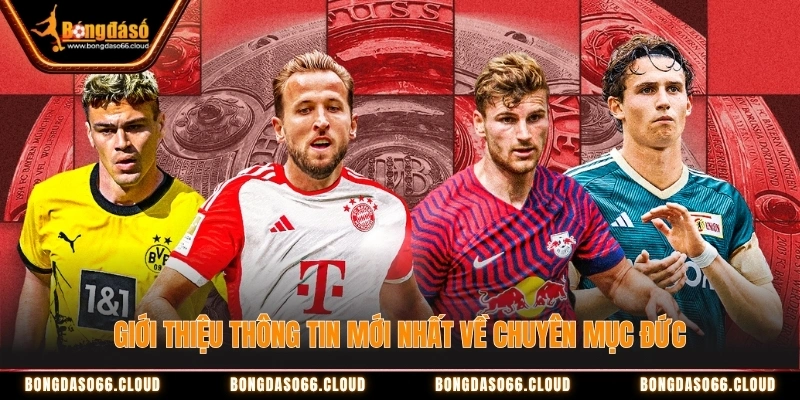 tin tức bóng đá Đức