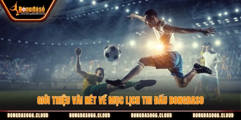  mục lịch thi đấu Bongdaso