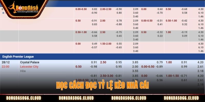 Tìm hiểu đọc tỷ lệ kèo nhà cái để đánh kèo hiệu quả