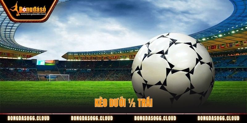 Kèo dưới ½ trái 