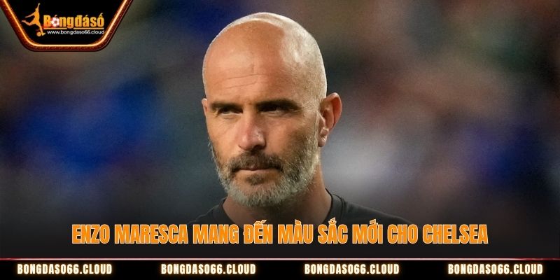 Enzo Maresca mang đến màu sắc mới cho Chelsea