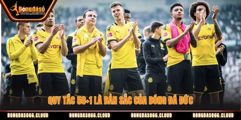 Quy tắc 50+1 là bản sắc của bóng đá Đức