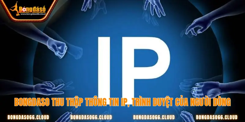 Bongdaso thu thập dữ liệu IP, trình duyệt của người dùng