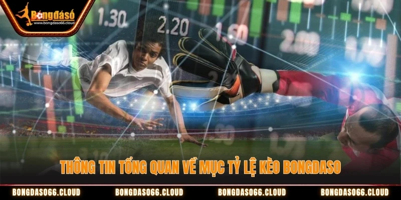 tỷ lệ kèo Bongdaso