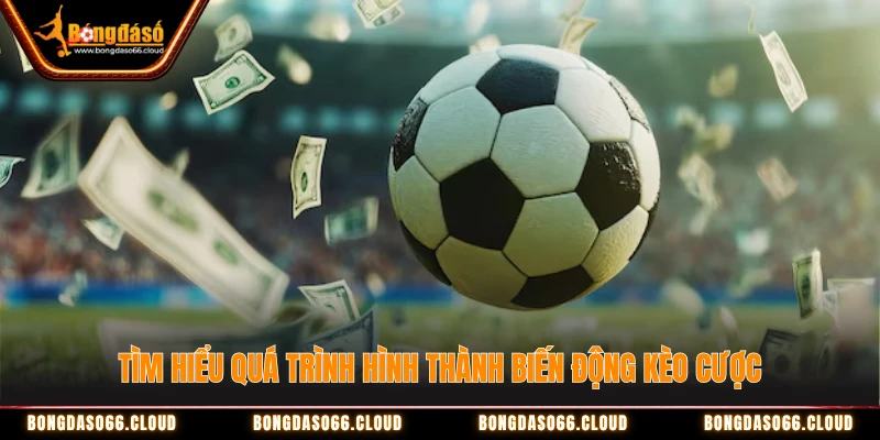Giải Mã Biến Động Kèo - Khi Nào Hội Viên Nên Vào Tiền? 1 Tìm hiểu quá trình hình thành biến động kèo cược