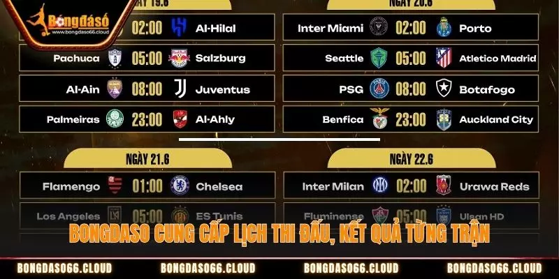 bongdaso dữ liệu